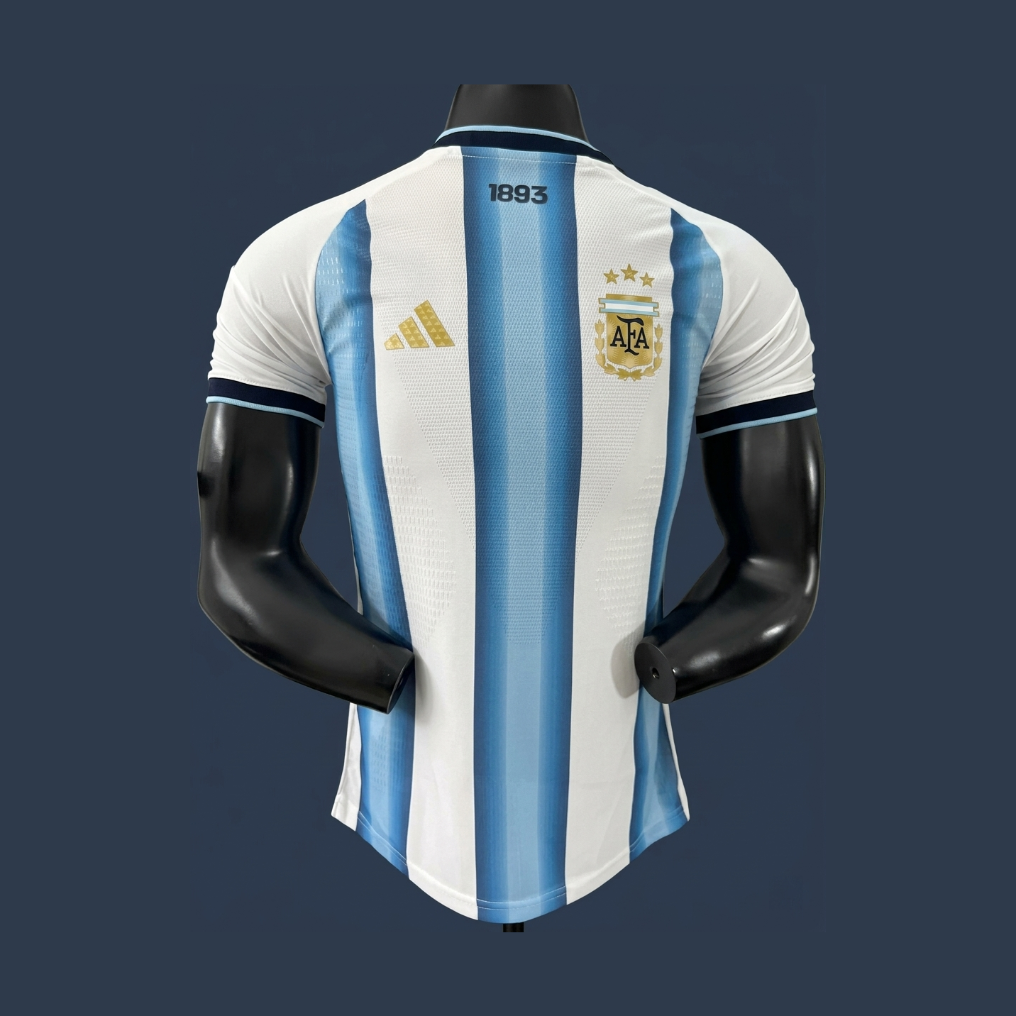 Argentina Version Soccer Jersey 26-27